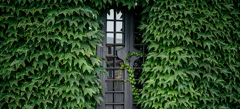 Garden Gate Repair in North Lauderdale, FL