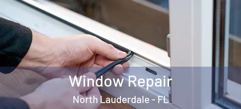  Window Repair North Lauderdale - FL
